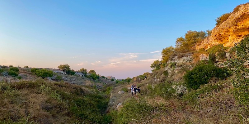 Park of Coastal Dunes 