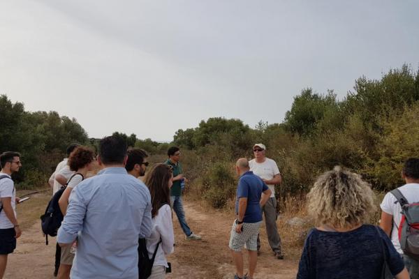 Walk through pseudo-steppe