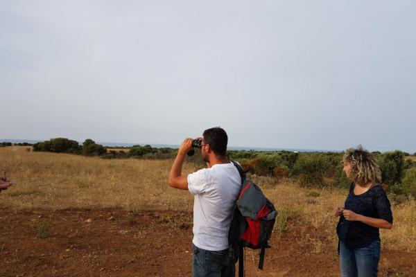 Walk through pseudo-steppe