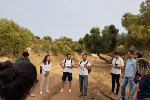 Walk through pseudo-steppe