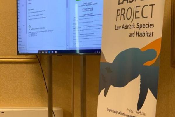2nd Project Meeting in Tirana, 28.10.2019