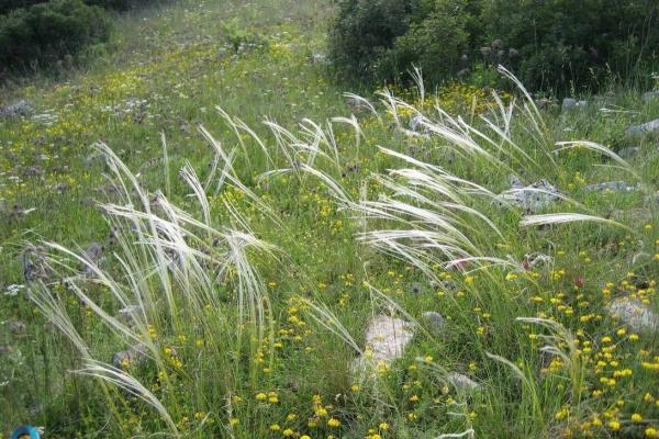 Autumn meetings with children in the Park of Coastal Dunes