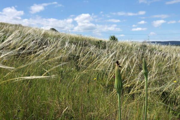 Autumn meetings with children in the Park of Coastal Dunes