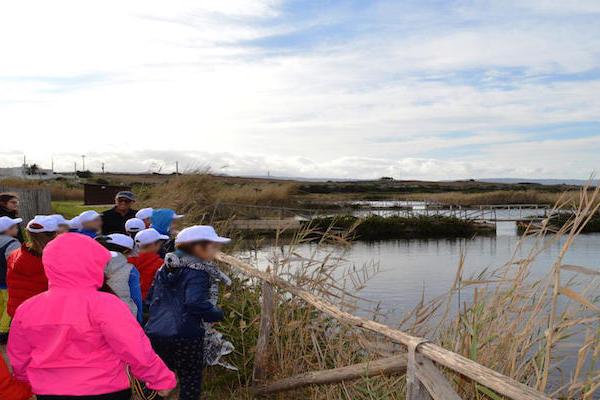 Autumn meetings with children in the Park of Coastal Dunes