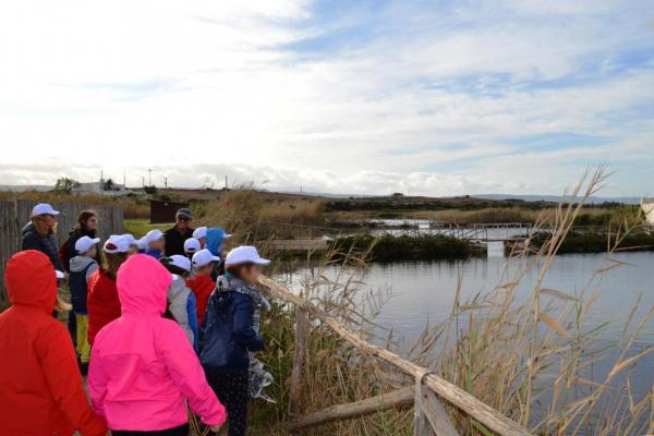 Autumn meetings with children in the Park of Coastal Dunes