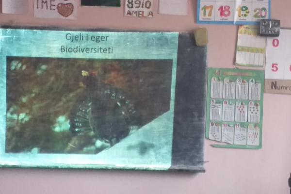 National Park "Tomorri Mountain": 3rd meeting with pupils