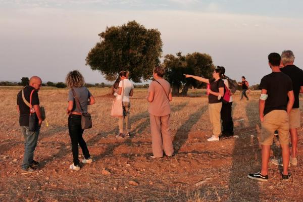Discovering pasture in the Park of Coastal Dunes