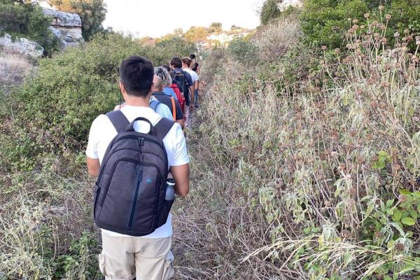 Discovering pasture in the Park of Coastal Dunes