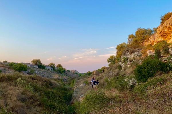 Discovering pasture in the Park of Coastal Dunes