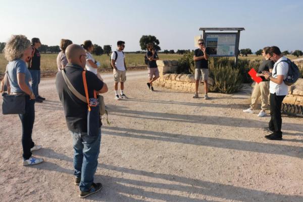 Discovering pasture in the Park of Coastal Dunes